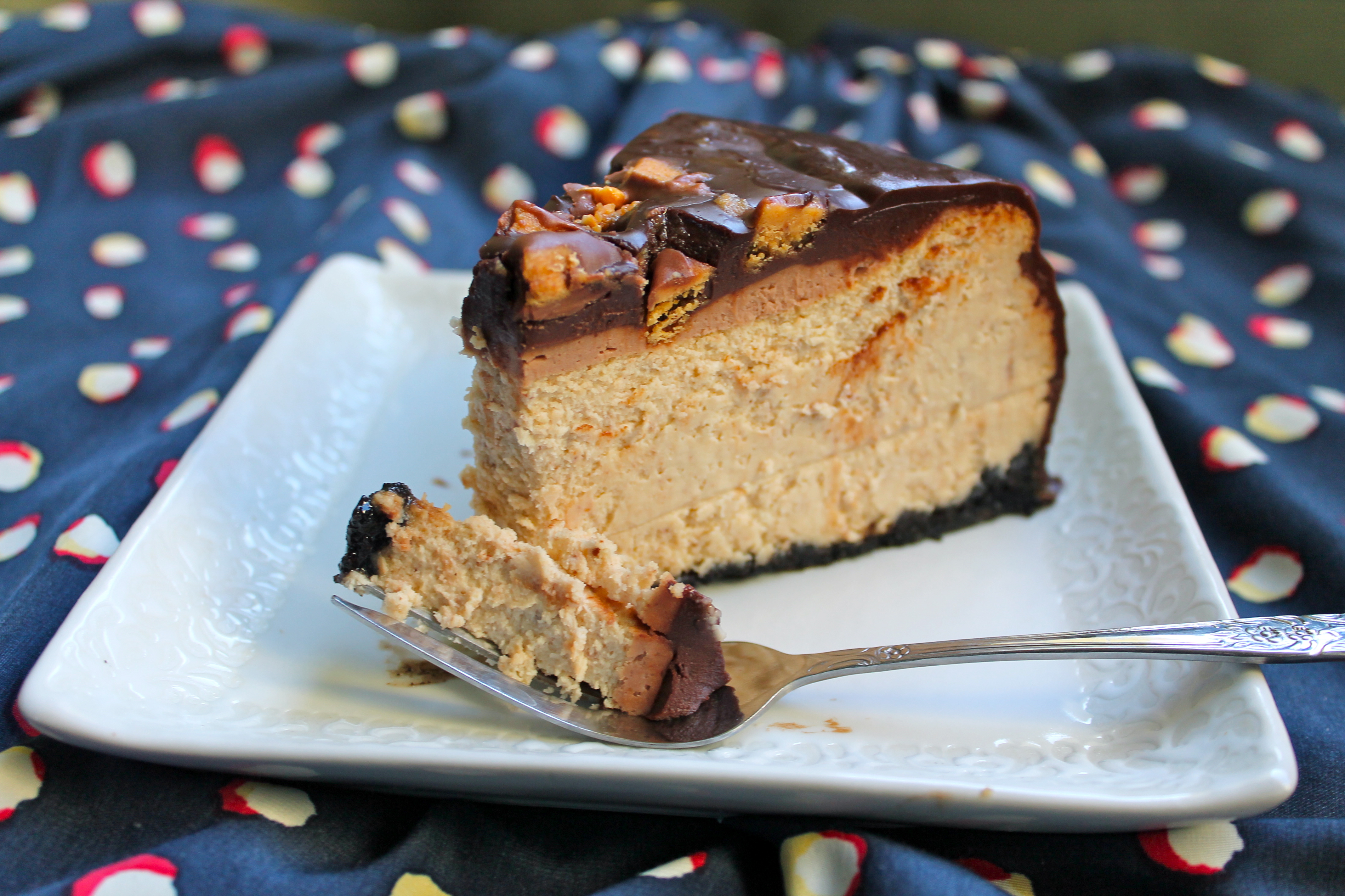 Chocolate and Peanut Butter Cheesecake